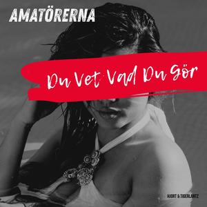 Du Vet Vad Du Gör (Radio Edit)