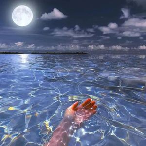 傲慢与偏见(prod by MEGA)