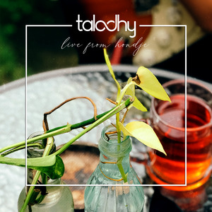 42 Days (Live from Hondje)