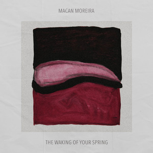 The waking of your spring