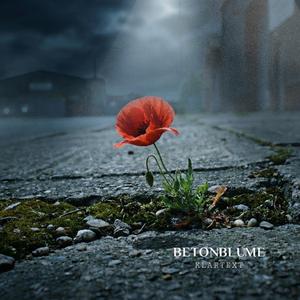 Betonblume