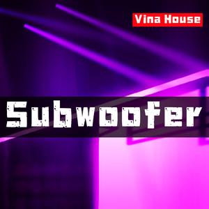 Subwoofer (Vina House)