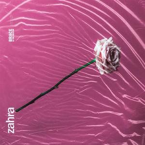 Zahra (feat. The Dollar Beater)