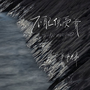 不配说爱我 (DJ默涵版)