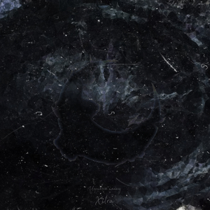 Игривый танец