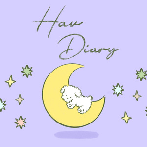 꿈꿨는데 기억이 안 날 정도로 잘자게 해주세요