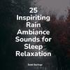 Relaxation Music Guru - Stormy, Rainy Night