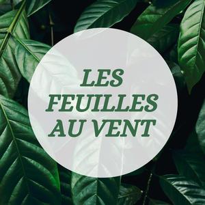 Frémissements végétal
