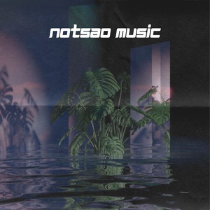 Payphone (Slowed + Reverb)