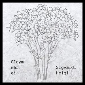 Gleym Mér Ei
