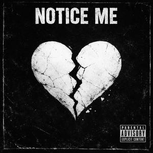 notice me
