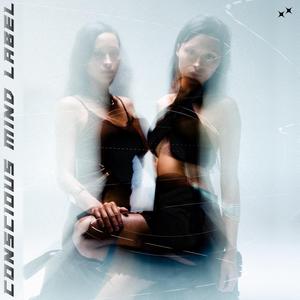 Transcending Reality