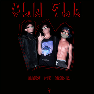 Vlw Flw