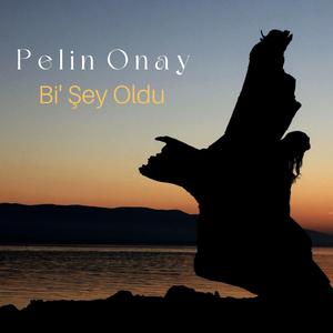 Bi' Şey Oldu