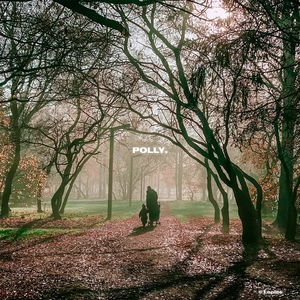 Polly