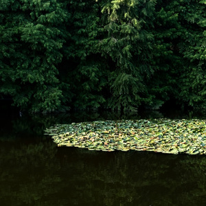 关于过去的一些