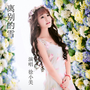 离别的雪