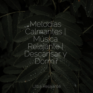 Melancólica De La Mañana