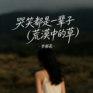 哭笑都是一辈子（荒漠中的草）