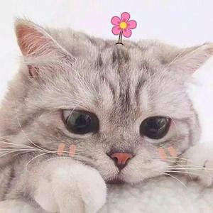 她唱着他乡遇故知