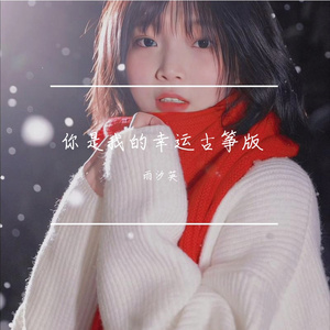 你是我的幸运古筝版 伴奏