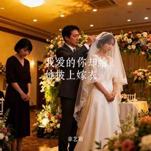 我爱的你却给她披上嫁衣