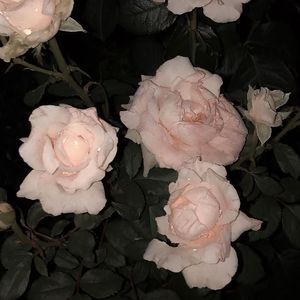 失去童年（Sad Piano Type Beat）