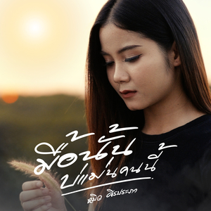 มื้อนั้นบ่แม่นคนนี้