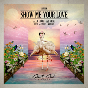 Show Me Your Love (Mitchell Southam Remix)