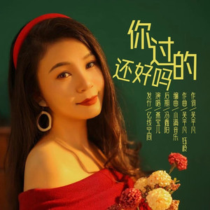 你过得还好吗 (DJ默涵版)