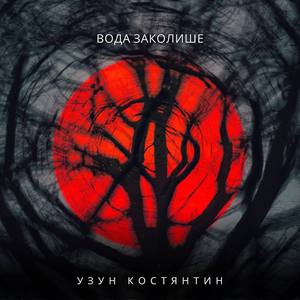 Вода заколише