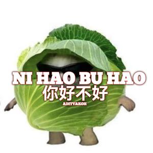Ni Hao Bu Hao (你 好不好)