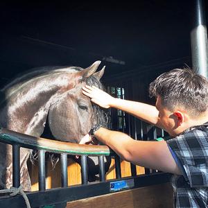 Wherever you are/Lale Bolup