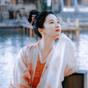 明妃曲（民乐合奏版）