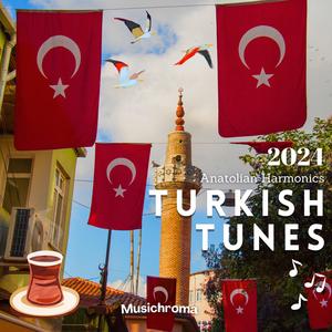 Süzülen Ayın Hüznü (Moonlit Sorrows)