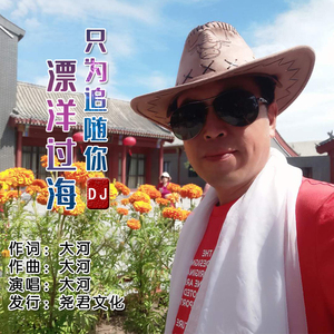 漂洋过海只为追随你 (DJ版)