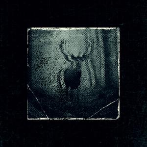 CERVUS ELAPHUS