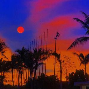 星 与 海 与 你