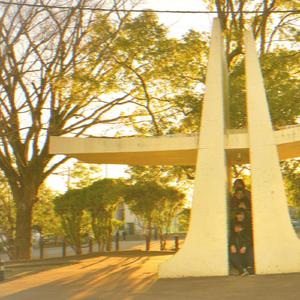 タワーの見える町から