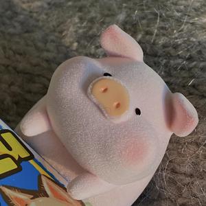 等我们老了，就定居在重庆