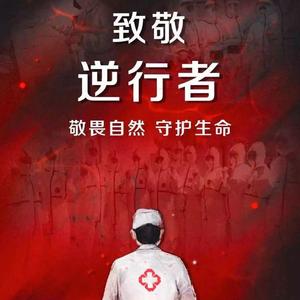 后盾