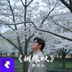 姻缘叹（重制版） (现场)