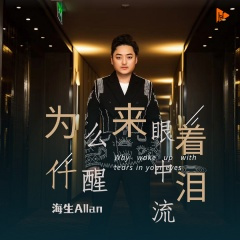 为什么醒来眼中流着泪 (DJ默涵版)