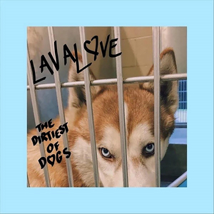 The Dirtiest of Dogs