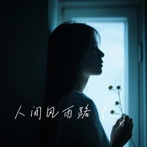 人间风雨路  (Remix)