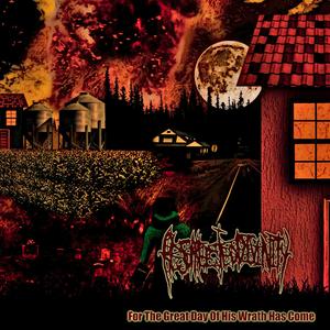 A Wasp At The Hummingbird Feeder