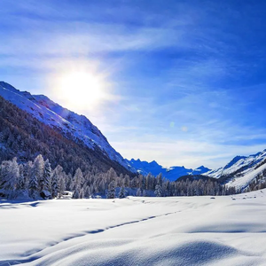 detective（猪大肠 remix）