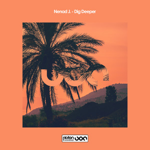 Dig Deeper (Luis Bravo's Stripped Remix)