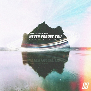 Never Forget You (Shoolz Remix)