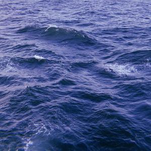 蒲公英和炊烟都在等你